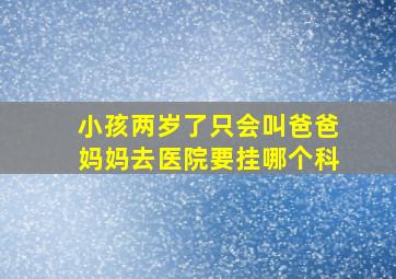 小孩两岁了只会叫爸爸妈妈去医院要挂哪个科