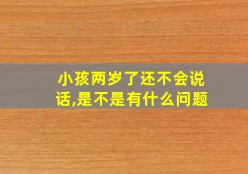 小孩两岁了还不会说话,是不是有什么问题