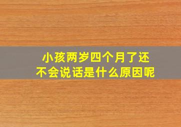 小孩两岁四个月了还不会说话是什么原因呢