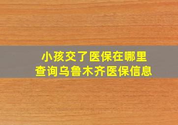 小孩交了医保在哪里查询乌鲁木齐医保信息