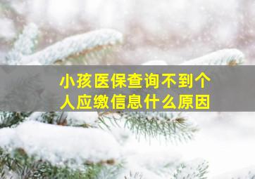 小孩医保查询不到个人应缴信息什么原因