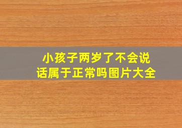 小孩子两岁了不会说话属于正常吗图片大全