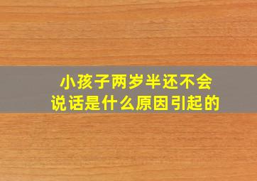 小孩子两岁半还不会说话是什么原因引起的