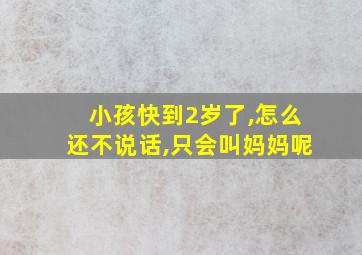 小孩快到2岁了,怎么还不说话,只会叫妈妈呢