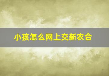 小孩怎么网上交新农合