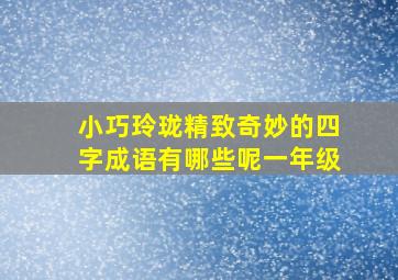 小巧玲珑精致奇妙的四字成语有哪些呢一年级