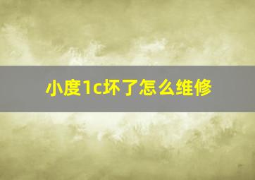 小度1c坏了怎么维修