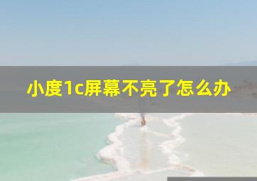 小度1c屏幕不亮了怎么办