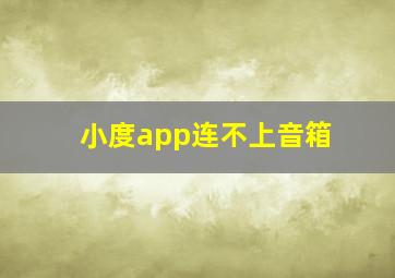 小度app连不上音箱