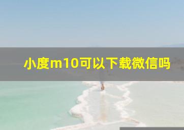 小度m10可以下载微信吗