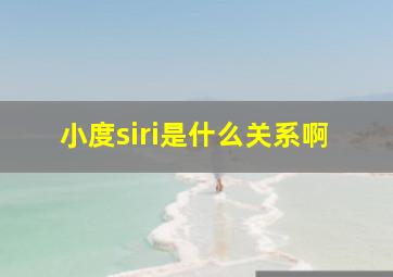 小度siri是什么关系啊