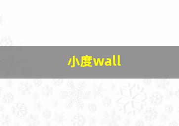 小度wall