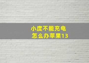 小度不能充电怎么办苹果13