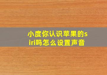 小度你认识苹果的siri吗怎么设置声音