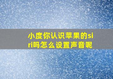 小度你认识苹果的siri吗怎么设置声音呢