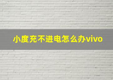 小度充不进电怎么办vivo