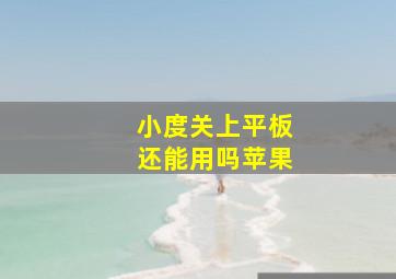 小度关上平板还能用吗苹果