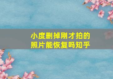 小度删掉刚才拍的照片能恢复吗知乎