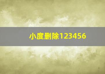 小度删除123456