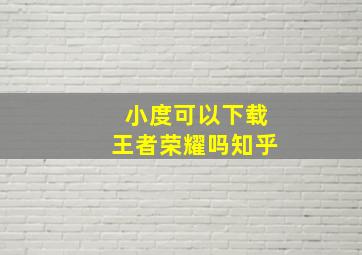 小度可以下载王者荣耀吗知乎