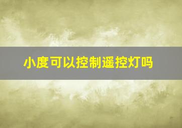 小度可以控制遥控灯吗