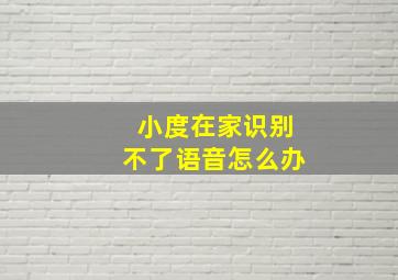 小度在家识别不了语音怎么办