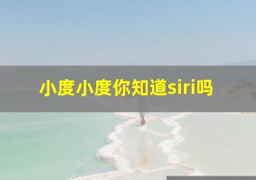 小度小度你知道siri吗