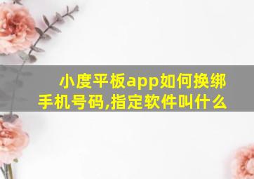 小度平板app如何换绑手机号码,指定软件叫什么