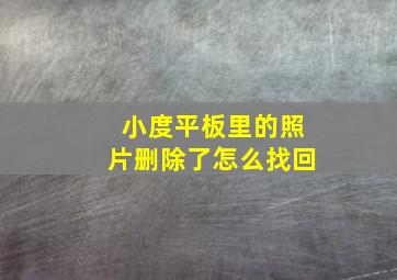 小度平板里的照片删除了怎么找回