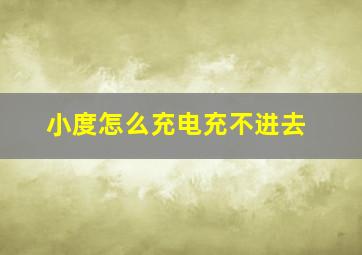 小度怎么充电充不进去