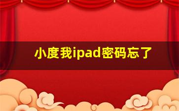 小度我ipad密码忘了