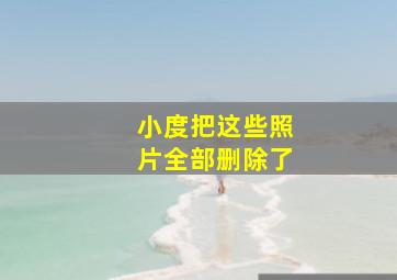 小度把这些照片全部删除了