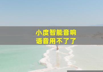 小度智能音响语音用不了了