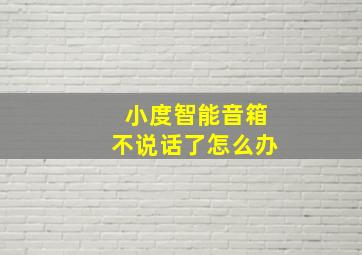 小度智能音箱不说话了怎么办