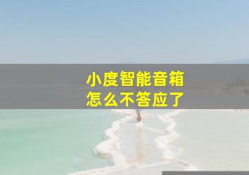 小度智能音箱怎么不答应了