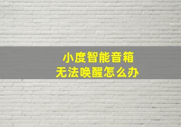 小度智能音箱无法唤醒怎么办