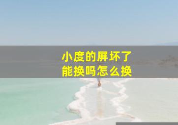 小度的屏坏了能换吗怎么换