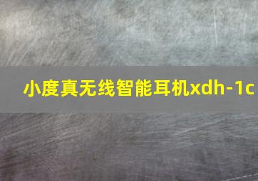 小度真无线智能耳机xdh-1c