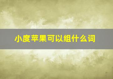 小度苹果可以组什么词