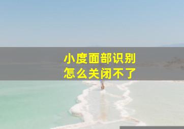 小度面部识别怎么关闭不了