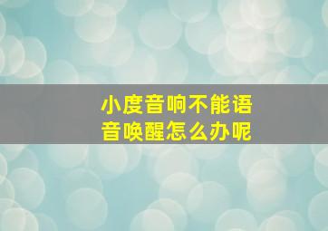 小度音响不能语音唤醒怎么办呢