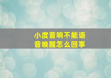 小度音响不能语音唤醒怎么回事