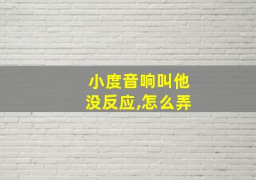 小度音响叫他没反应,怎么弄