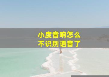 小度音响怎么不识别语音了