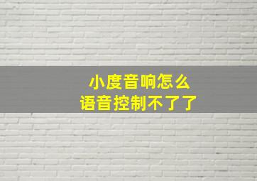 小度音响怎么语音控制不了了