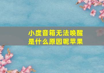 小度音箱无法唤醒是什么原因呢苹果