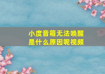 小度音箱无法唤醒是什么原因呢视频