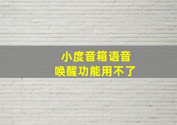 小度音箱语音唤醒功能用不了