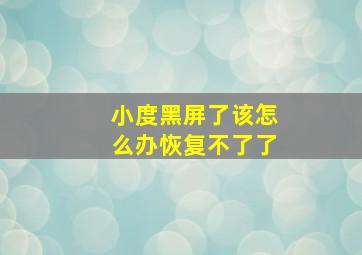 小度黑屏了该怎么办恢复不了了