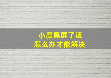 小度黑屏了该怎么办才能解决